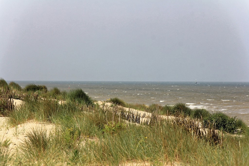 SP0617 (42).jpg